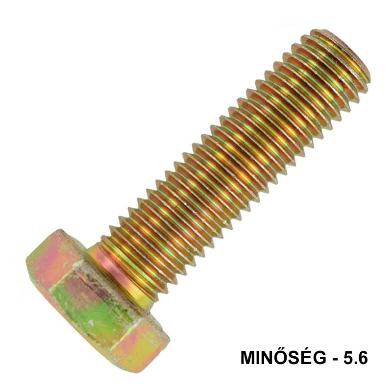 HLF CSAVAR M8*40 DIN 933-5.6 SHG. EGYEDI TM RETRO METRIKUS CSAVAROK HLF CSAVAR M8*40 DIN 933-5.6 SHG. EGYEDI TM RETRO METRIKUS CSAVAROK