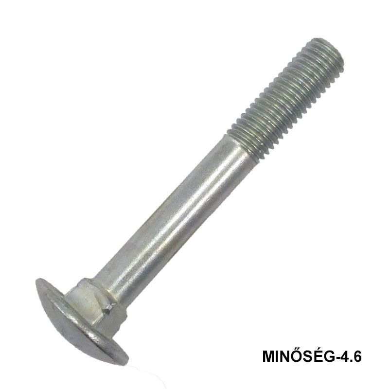 KAPUPÁNTCSAVAR M10*160 DIN 603 4.6 HG. IMPORT METRIKUS CSAVAROK