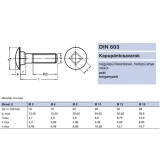 KAPUPÁNTCSAVAR M10*160 DIN 603 4.6 HG. IMPORT METRIKUS CSAVAROK